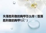 失落胜利者的胸甲怎么得（堕落胜利者的胸甲\