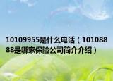 10109955是什么电话（10108888是哪家保险公司简介介绍）