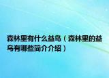 森林里有什么益鸟（森林里的益鸟有哪些简介介绍）