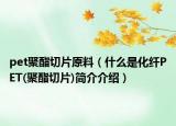 pet聚酯切片原料（什么是化纤PET(聚酯切片)简介介绍）