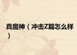 真魔神（冲击Z篇怎么样）