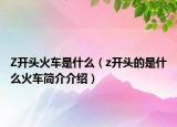 Z开头火车是什么（z开头的是什么火车简介介绍）