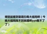 哪里能看到雷霆扫毒大结局啊（今晚大结局找不到直播啊pps看不了了）