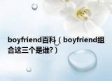 boyfriend百科（boyfriend组合这三个是谁?）