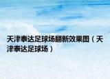 天津泰达足球场翻新效果图（天津泰达足球场）