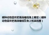 哪种动物喜欢把海藻缠绕身上睡觉（哪种动物喜欢把海藻缠绕在身上枕浪而睡）