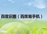 百度识图（百度易手机）