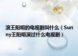 演王阳明的电视剧叫什么（Sunny王阳明演过什么电视剧）