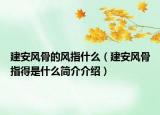 建安风骨的风指什么（建安风骨指得是什么简介介绍）