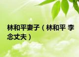林和平妻子（林和平 李念丈夫）