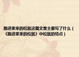 跑进家来的松鼠这篇文章主要写了什么（《跑进家来的松鼠》中松鼠的特点）