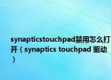 synapticstouchpad禁用怎么打开（synaptics touchpad 驱动）