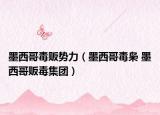 墨西哥毒贩势力（墨西哥毒枭 墨西哥贩毒集团）