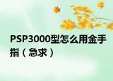 PSP3000型怎么用金手指（急求）