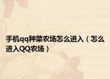手机qq种菜农场怎么进入（怎么进入QQ农场）