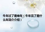 牛年过了是啥年（牛年完了是什么年简介介绍）