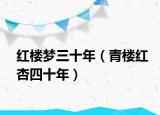 红楼梦三十年（青楼红杏四十年）