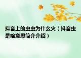 抖音上的虫虫为什么火（抖音虫是啥意思简介介绍）