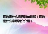 质数是什么意思简单讲解（质数是什么意思简介介绍）