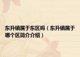 东升镇属于东区吗（东升镇属于哪个区简介介绍）