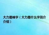 大力是啥字（大力是什么字简介介绍）