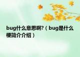 bug什么意思啊?（bug是什么梗简介介绍）