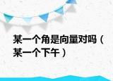 某一个角是向量对吗（某一个下午）