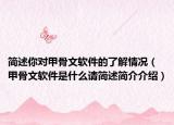 简述你对甲骨文软件的了解情况（甲骨文软件是什么请简述简介介绍）