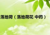 落地荷（落地荷花 中药）