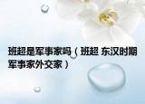 班超是军事家吗（班超 东汉时期军事家外交家）