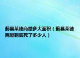 蓟县莱德商厦多大面积（蓟县莱德商厦到底死了多少人）