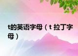 t的英语字母（t 拉丁字母）