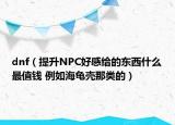 dnf（提升NPC好感给的东西什么最值钱 例如海龟壳那类的）
