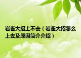 岩雀大招上不去（岩雀大招怎么上去及原因简介介绍）