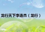 龙行天下李连杰（龙行）