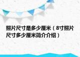照片尺寸是多少厘米（8寸照片尺寸多少厘米简介介绍）