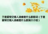 于是爱恨交错人消瘦是什么歌歌词（于是爱恨交错人消瘦是什么歌简介介绍）