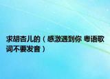 求胡杏儿的（感激遇到你 粤语歌词不要发音）