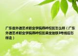 广东省外语艺术职业学院燕岭校区怎么样（广东外语艺术职业学院燕岭校区乘坐地铁3号线后怎样走）