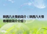 陕西八大怪的简介（陕西八大怪有哪些简介介绍）