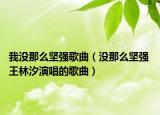 我没那么坚强歌曲（没那么坚强 王林汐演唱的歌曲）