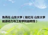 鲁燕霞 山东大学（赵红霞 山东大学能源动力与工程学院副教授）