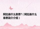 阿拉善什么意思?（阿拉善什么意思简介介绍）