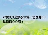 cf战队队徽多少cf点（怎么弄CF队徽简介介绍）
