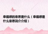 幸福感的意思是什么（幸福感是什么意思简介介绍）