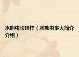 水熊虫长啥样（水熊虫多大简介介绍）