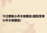 今日更新小乔木有哪些(庭院常绿小乔木有哪些)