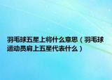 羽毛球五星上将什么意思（羽毛球运动员肩上五星代表什么）