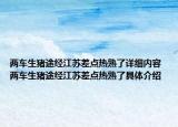两车生猪途经江苏差点热熟了详细内容 两车生猪途经江苏差点热熟了具体介绍