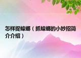 怎样捉蟑螂（抓蟑螂的小妙招简介介绍）